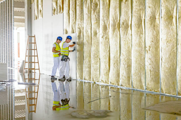 Best Commercial Insulation in Jefferson, LA